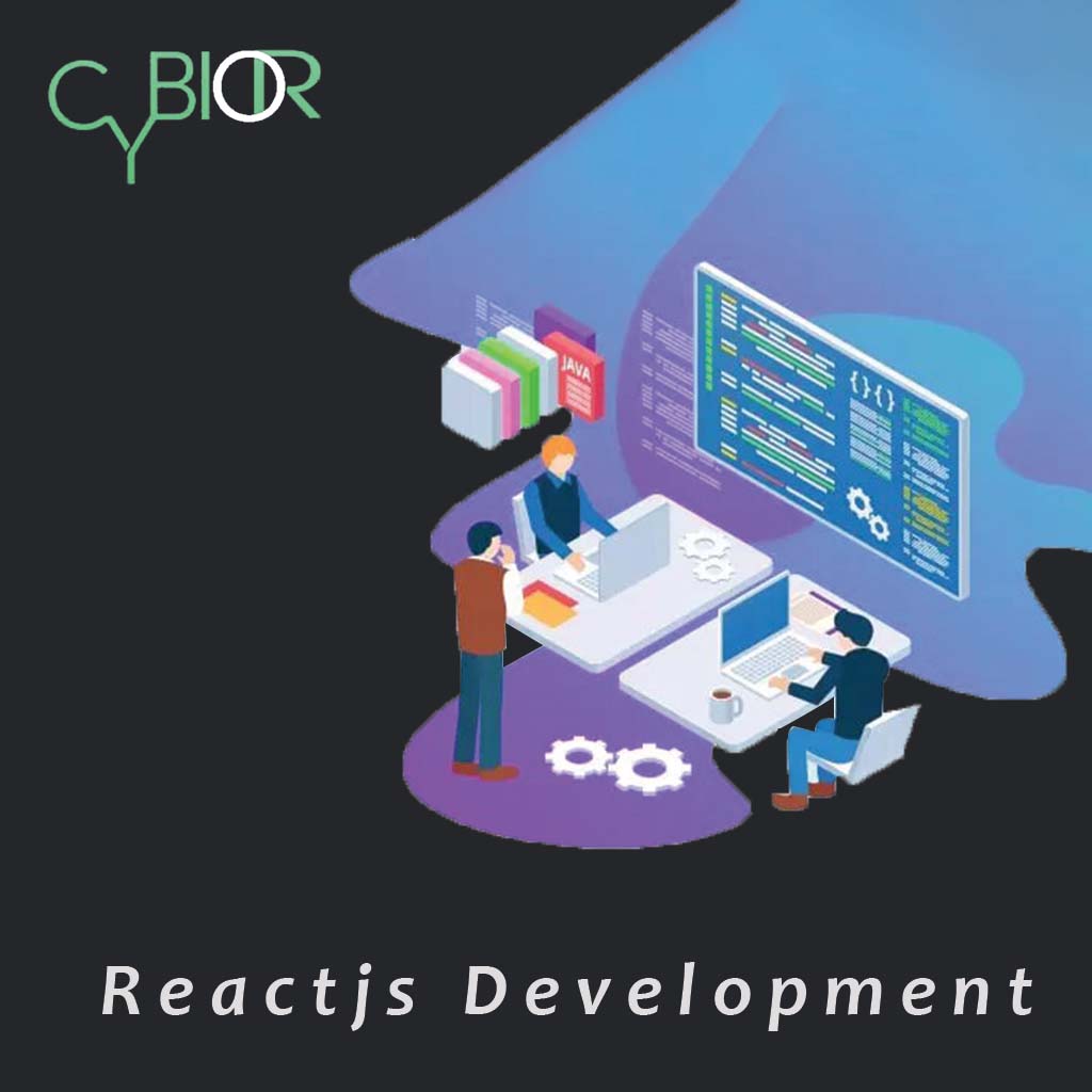 ReactJS development services