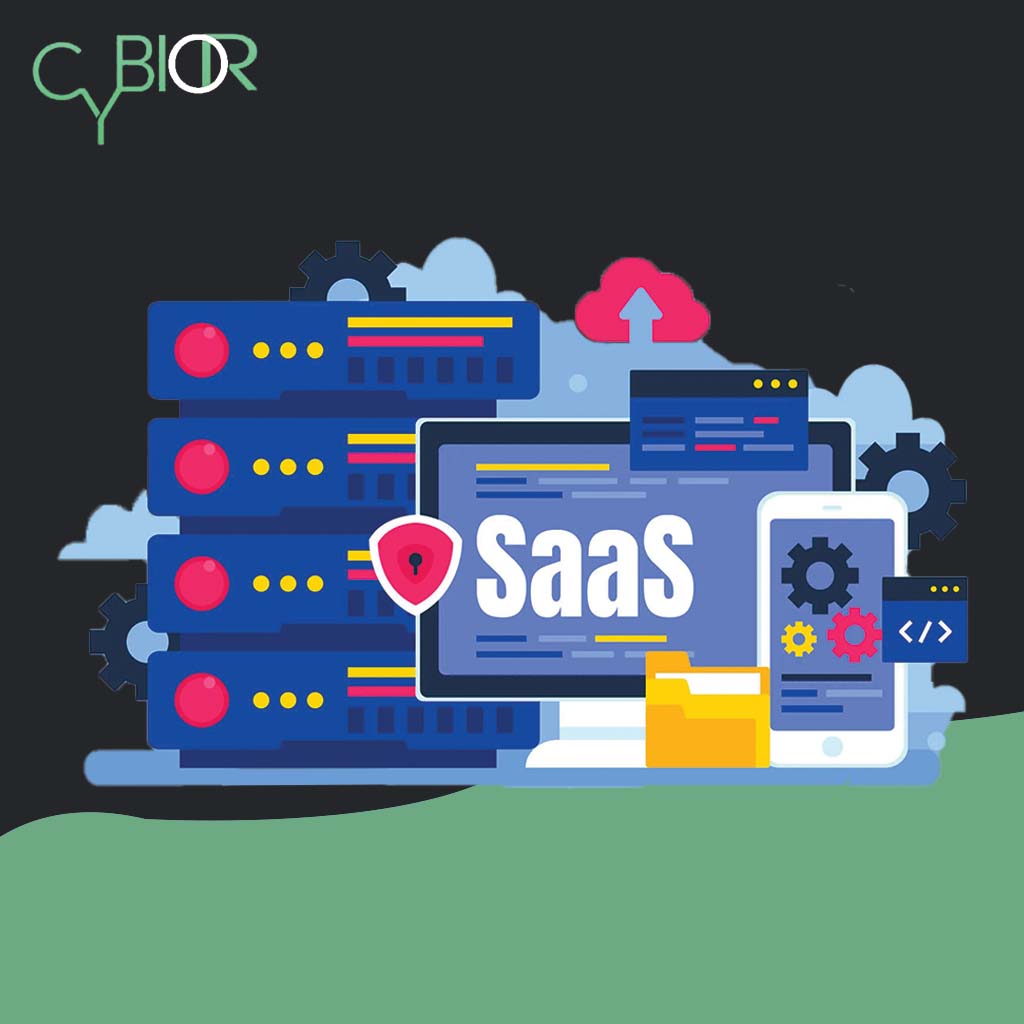 SaaS Development