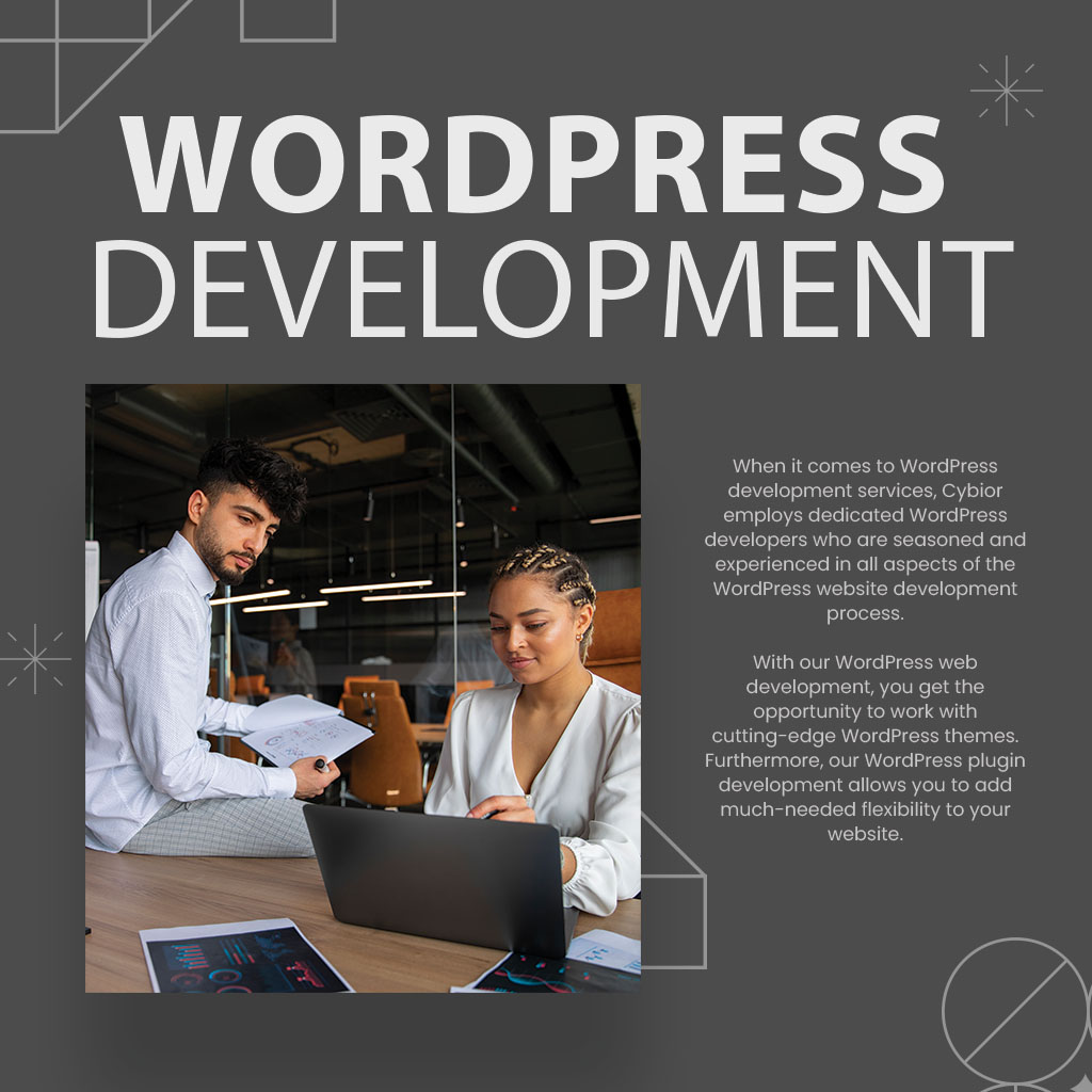 WordPress usa